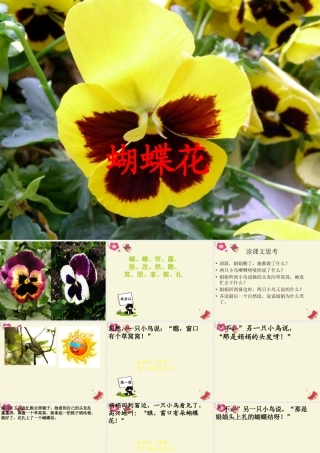 一年级语文下册 第5单元 22《蝴蝶花》课件6 语文S版-语文S版小学一年级下册语文课件