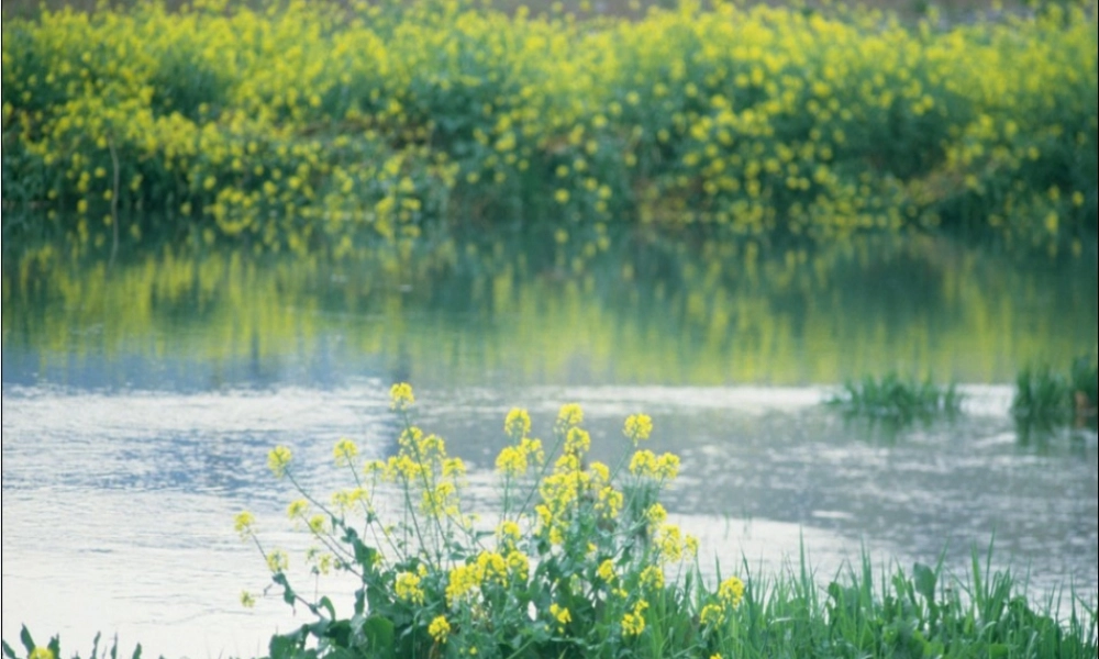 一年级语文下册 第1课《四季的歌》课件1 鄂教版-鄂教版小学一年级下册语文课件