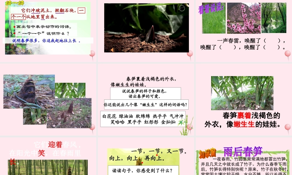 一年级语文下册 课文1 第2课《春笋》课件 苏教版-苏教版小学一年级下册语文课件
