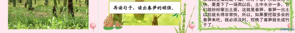 一年级语文下册 课文1 第2课《春笋》课件 苏教版-苏教版小学一年级下册语文课件