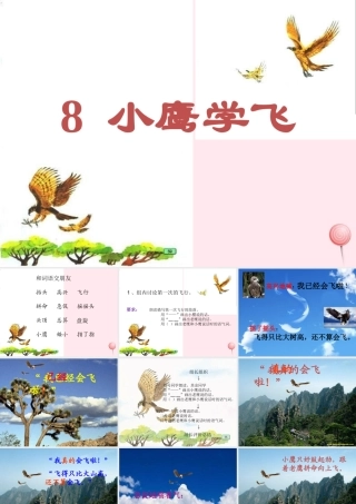 一年级语文下册 第一单元 第5课《小鹰学飞》课件2 北京版-北京版小学一年级下册语文课件