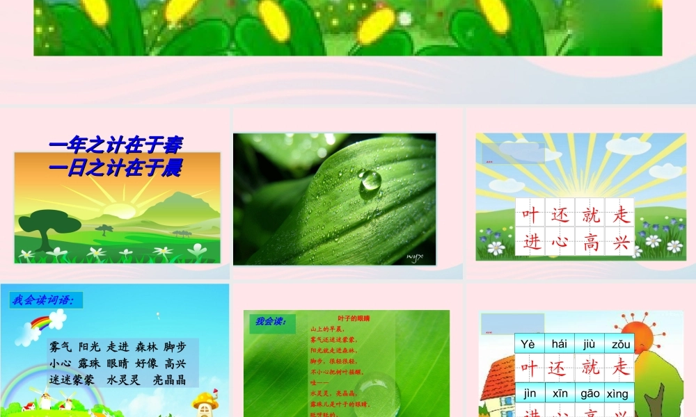 一年级语文下册 课文1 第3课《叶子的眼睛》课件 苏教版-苏教版小学一年级下册语文课件