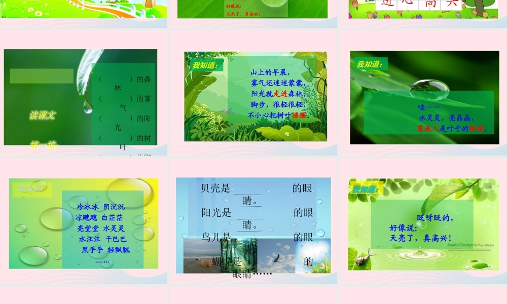 一年级语文下册 课文1 第3课《叶子的眼睛》课件 苏教版-苏教版小学一年级下册语文课件