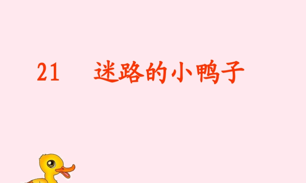 一年级语文下册 第21课《迷路的小鸭子》课件2 鄂教版-鄂教版小学一年级下册语文课件
