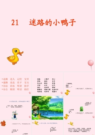 一年级语文下册 第21课《迷路的小鸭子》课件2 鄂教版-鄂教版小学一年级下册语文课件