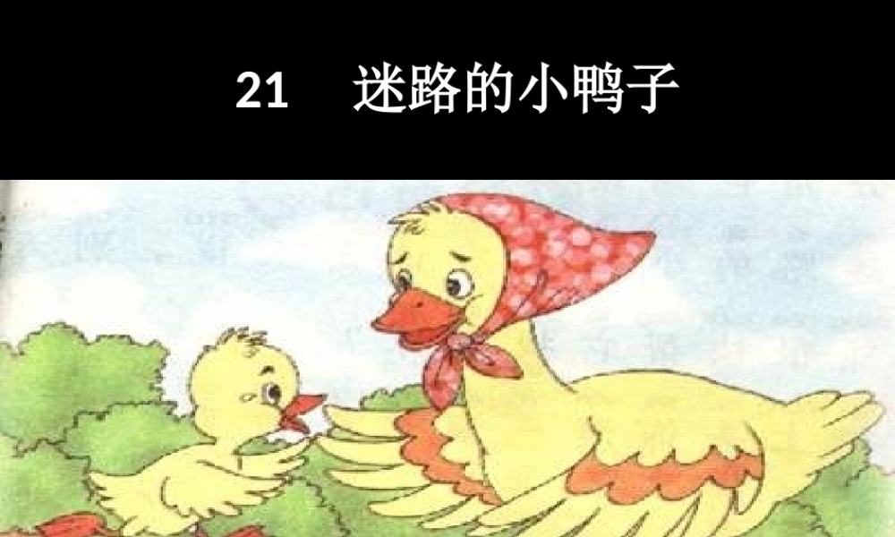 一年级语文下册 第21课《迷路的小鸭子》课件4 鄂教版-鄂教版小学一年级下册语文课件