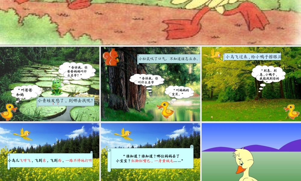 一年级语文下册 第21课《迷路的小鸭子》课件4 鄂教版-鄂教版小学一年级下册语文课件
