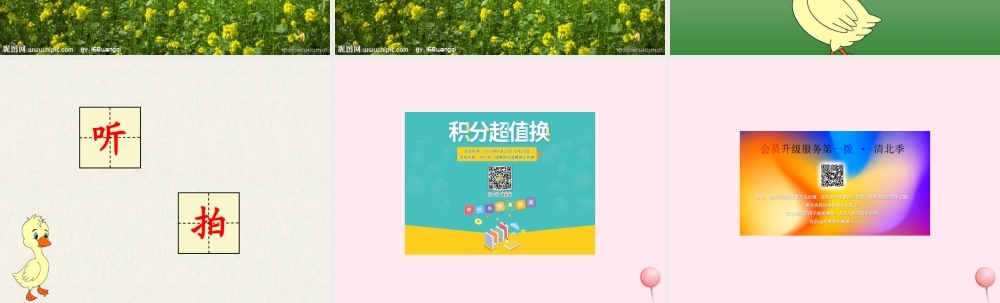 一年级语文下册 第21课《迷路的小鸭子》课件4 鄂教版-鄂教版小学一年级下册语文课件