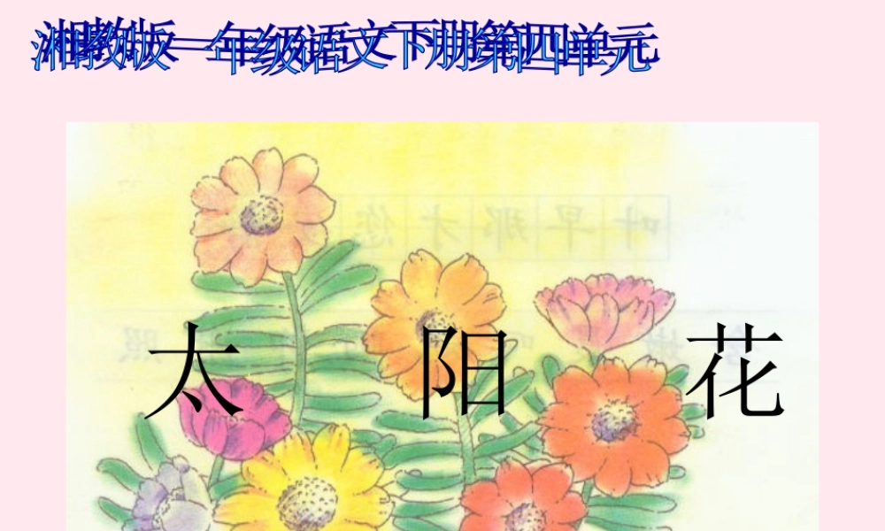 一年级语文下册 课文1 第4课《太阳花》课件1 湘教版-湘教版小学一年级下册语文课件