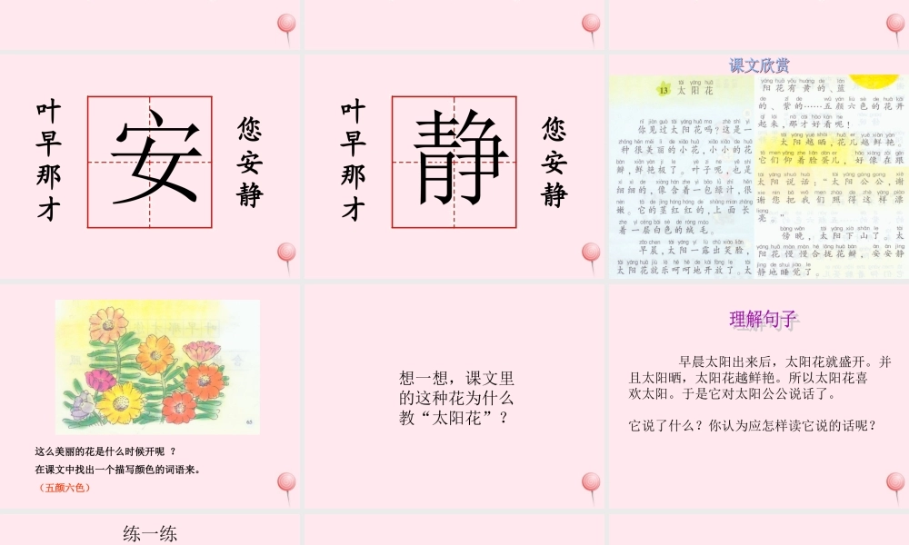 一年级语文下册 课文1 第4课《太阳花》课件1 湘教版-湘教版小学一年级下册语文课件