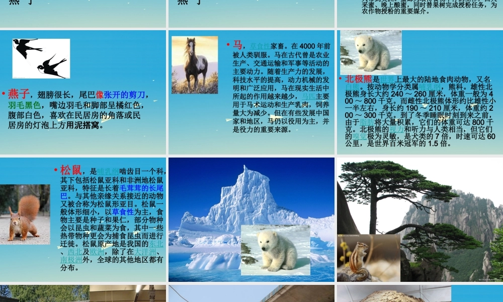 一年级语文下册 练习8课件 苏教版-苏教版小学一年级下册语文课件