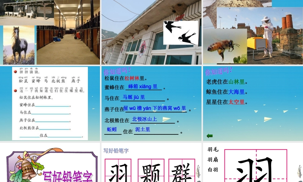 一年级语文下册 练习8课件 苏教版-苏教版小学一年级下册语文课件