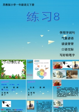 一年级语文下册 练习8课件 苏教版-苏教版小学一年级下册语文课件