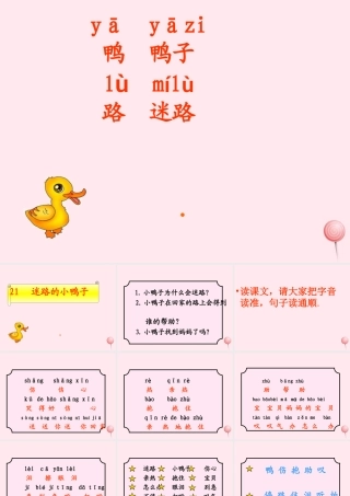 一年级语文下册 第21课《迷路的小鸭子》课件5 鄂教版-鄂教版小学一年级下册语文课件