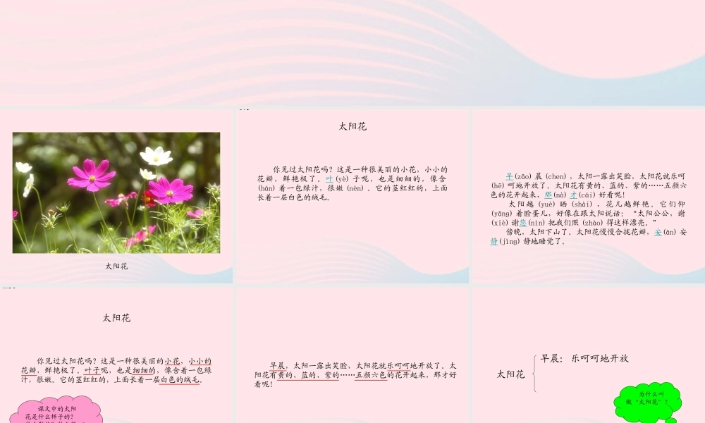 一年级语文下册 课文1 第4课《太阳花》课件2 湘教版-湘教版小学一年级下册语文课件