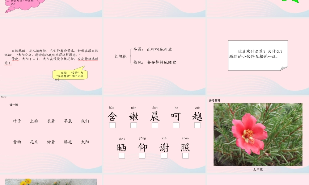 一年级语文下册 课文1 第4课《太阳花》课件2 湘教版-湘教版小学一年级下册语文课件