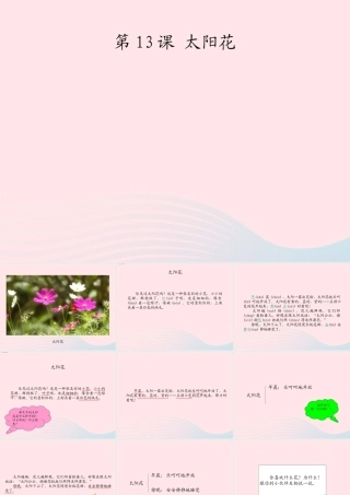 一年级语文下册 课文1 第4课《太阳花》课件2 湘教版-湘教版小学一年级下册语文课件