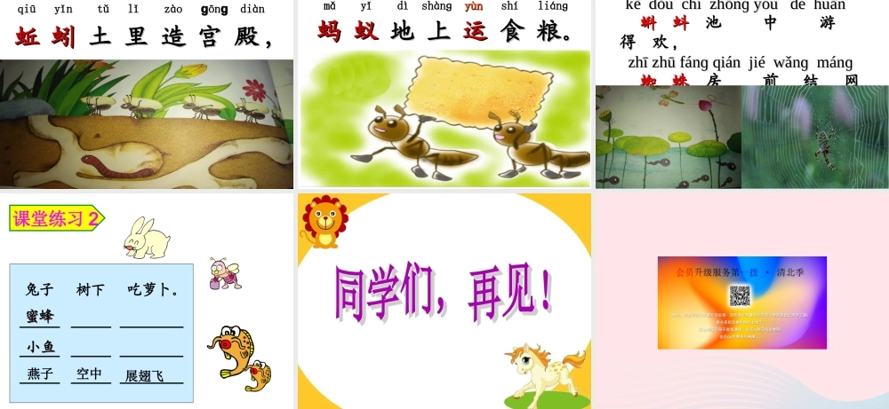 一年级语文下册 识字（二）识字5 动物儿歌课件1 新人教版-新人教版小学一年级下册语文课件