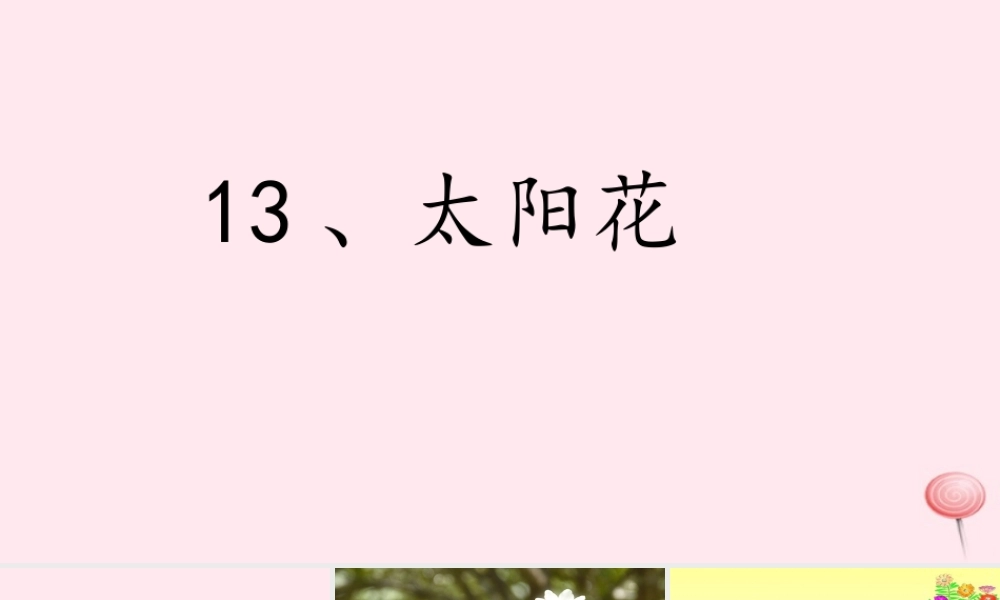 一年级语文下册 课文1 第4课《太阳花》课件3 湘教版-湘教版小学一年级下册语文课件