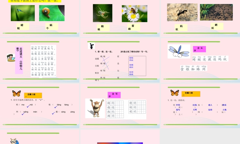一年级语文下册 识字（二）识字5 动物儿歌课件2 新人教版-新人教版小学一年级下册语文课件