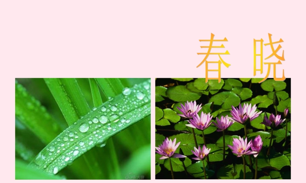 一年级语文下册 课文1《古诗诵读 春晓》课件1 鄂教版-鄂教版小学一年级下册语文课件