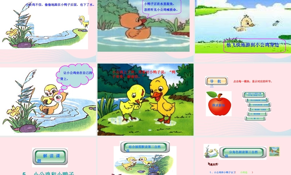 一年级语文下册 课文2 5《小公鸡和小鸭子》课件 新人教版-新人教版小学一年级下册语文课件