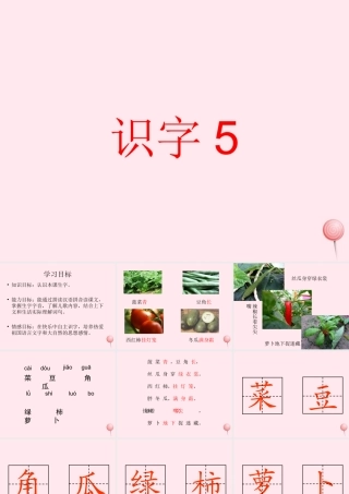 一年级语文下册 识字5课件 湘教版-湘教版小学一年级下册语文课件