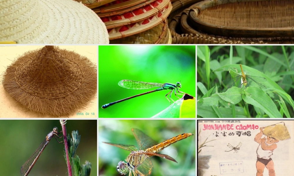 一年级语文下册 第10课《尖尖的草帽》课件2 冀教版-冀教版小学一年级下册语文课件