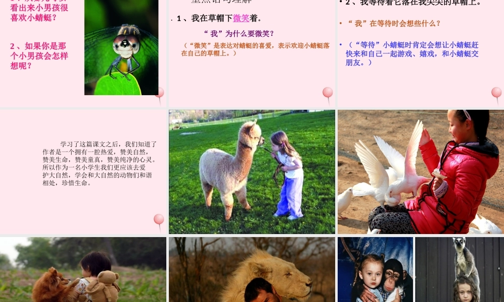 一年级语文下册 第10课《尖尖的草帽》课件2 冀教版-冀教版小学一年级下册语文课件