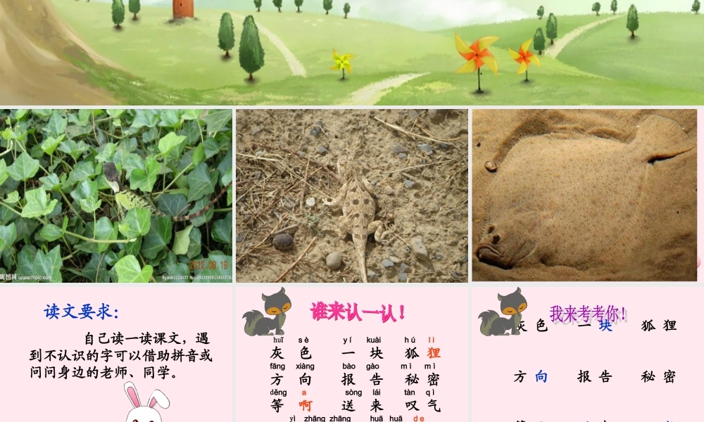 一年级语文下册 第25课《绿色的和灰色的》课件1 冀教版-冀教版小学一年级下册语文课件