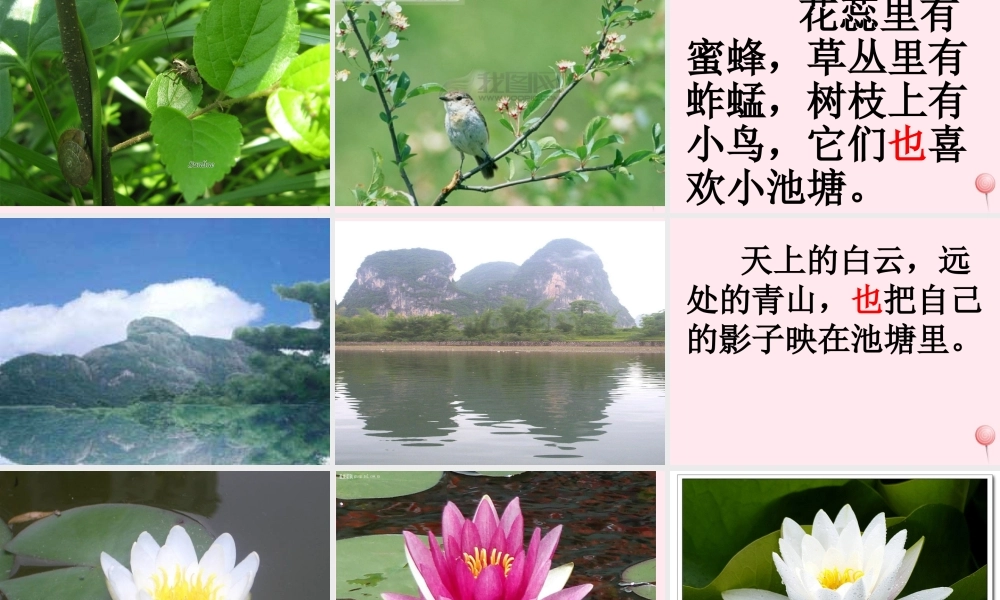 一年级语文下册 第11课《我爱门前的小池塘》课件1 鄂教版-鄂教版小学一年级下册语文课件