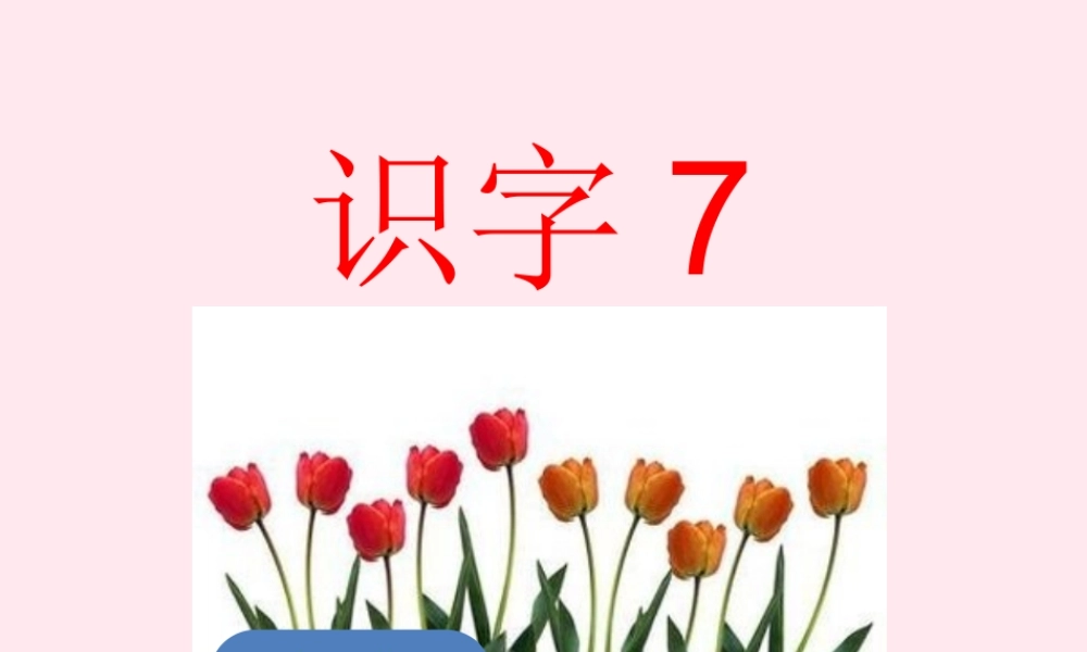 一年级语文下册 识字7课件 湘教版-湘教版小学一年级下册语文课件