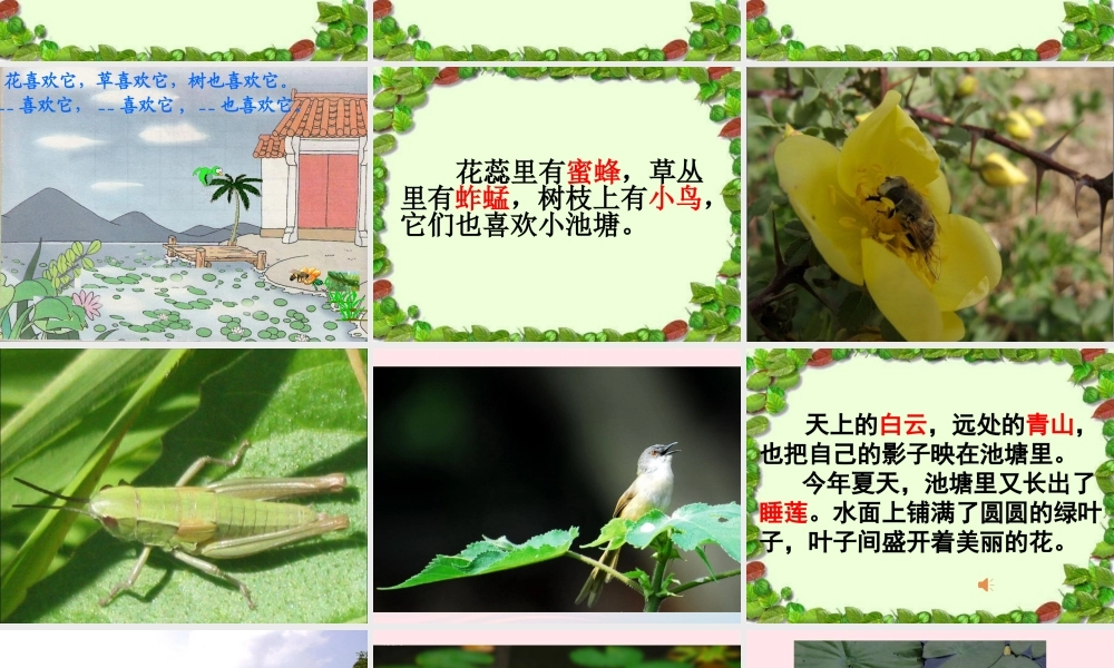 一年级语文下册 第11课《我爱门前的小池塘》课件4 鄂教版-鄂教版小学一年级下册语文课件