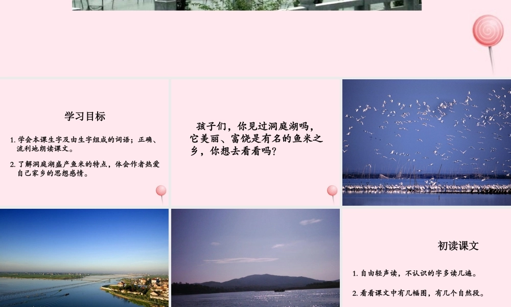 一年级语文下册 课文2 第6课《洞庭鱼米乡》课件3 湘教版-湘教版小学一年级下册语文课件