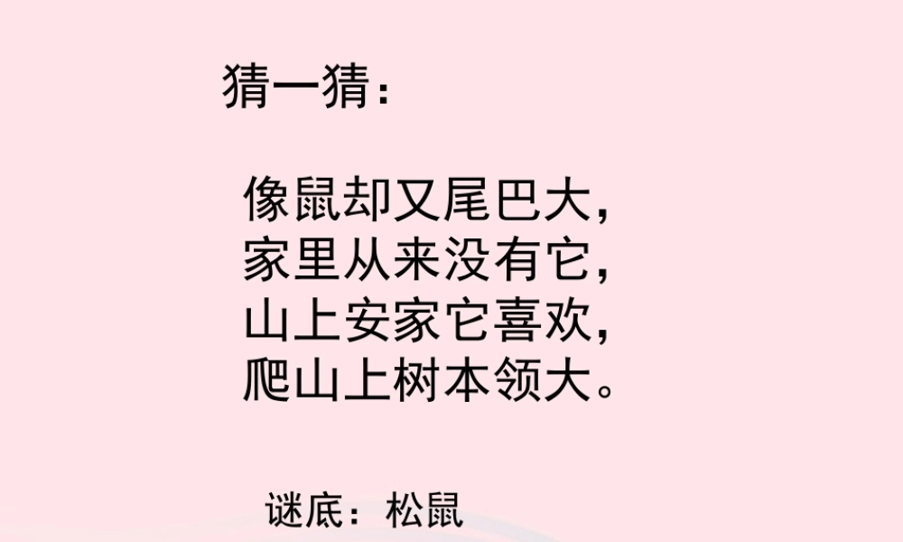 一年级语文下册 第12课《可爱的小松鼠》课件1 冀教版-冀教版小学一年级下册语文课件