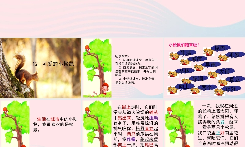 一年级语文下册 第12课《可爱的小松鼠》课件1 冀教版-冀教版小学一年级下册语文课件