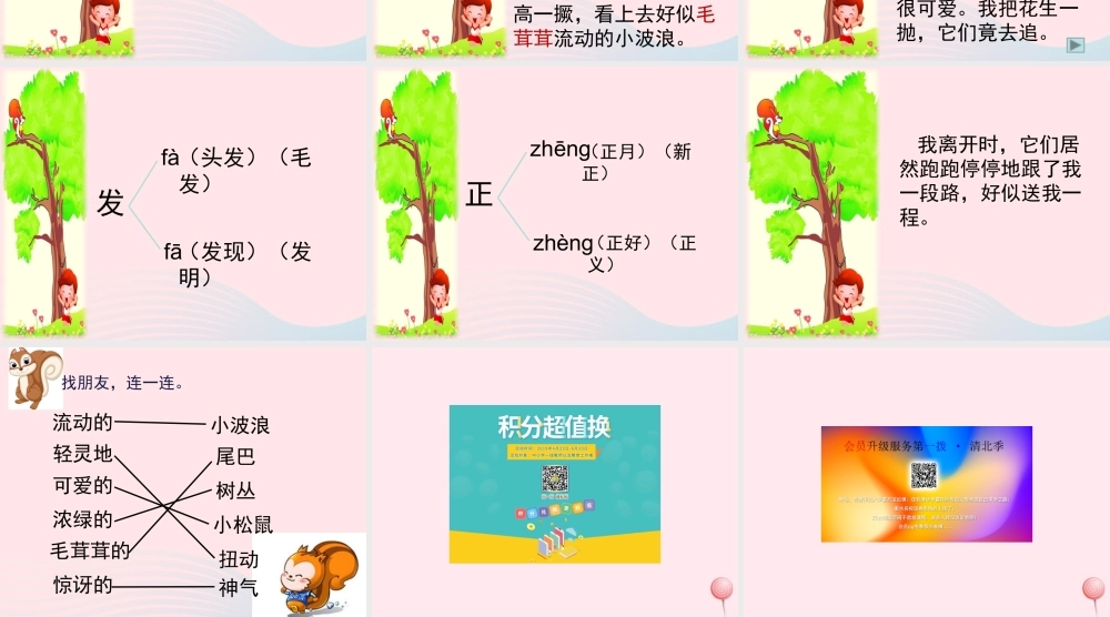 一年级语文下册 第12课《可爱的小松鼠》课件1 冀教版-冀教版小学一年级下册语文课件