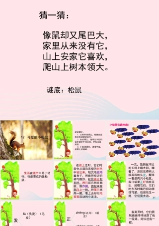 一年级语文下册 第12课《可爱的小松鼠》课件1 冀教版-冀教版小学一年级下册语文课件