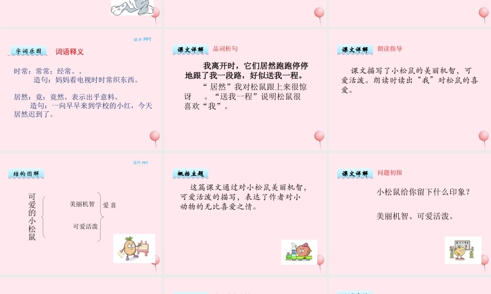 一年级语文下册 第12课《可爱的小松鼠》课件2 冀教版-冀教版小学一年级下册语文课件