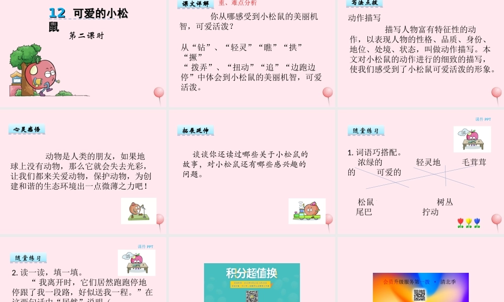 一年级语文下册 第12课《可爱的小松鼠》课件2 冀教版-冀教版小学一年级下册语文课件
