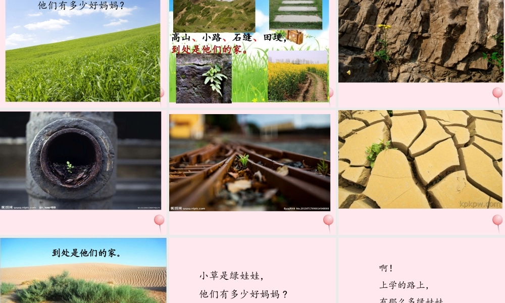 一年级语文下册 第12课《绿娃娃》课件1 鄂教版-鄂教版小学一年级下册语文课件