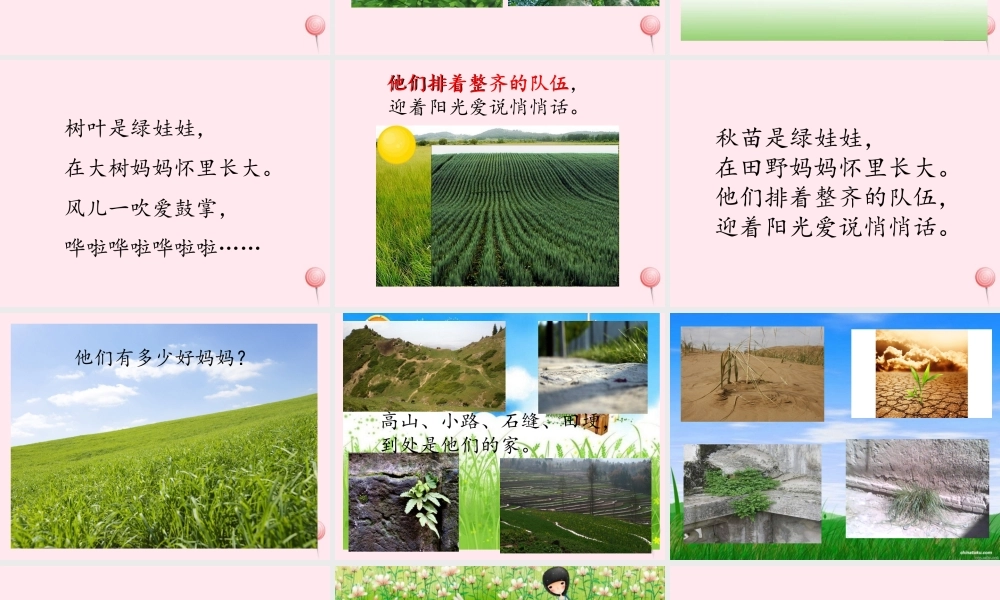 一年级语文下册 第12课《绿娃娃》课件2 鄂教版-鄂教版小学一年级下册语文课件