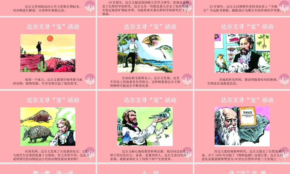 三年级科学上册 1.1 校园寻宝课件1 湘教版-湘教版小学三年级上册自然科学课件