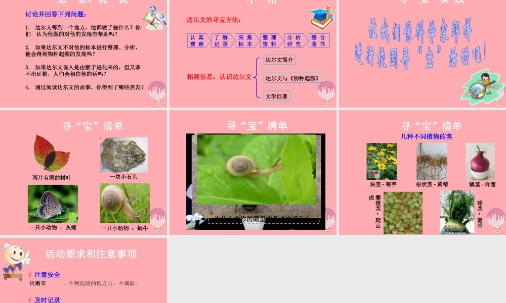 三年级科学上册 1.1 校园寻宝课件1 湘教版-湘教版小学三年级上册自然科学课件