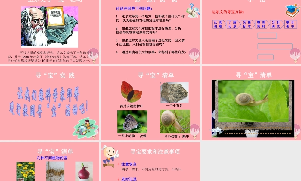 三年级科学上册 1.1 校园寻宝课件2 湘教版-湘教版小学三年级上册自然科学课件