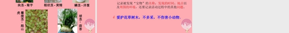 三年级科学上册 1.1 校园寻宝课件2 湘教版-湘教版小学三年级上册自然科学课件