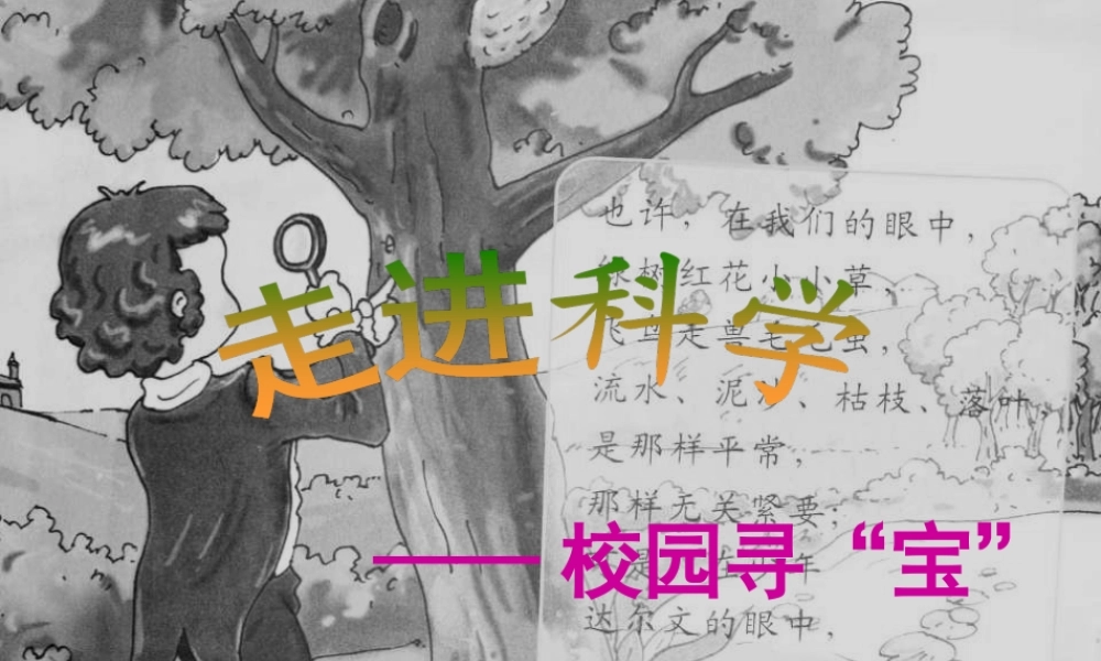 三年级科学上册 1.1 校园寻宝课件3 湘教版-湘教版小学三年级上册自然科学课件
