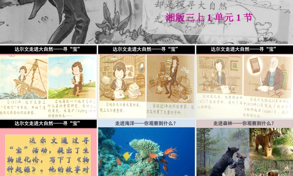 三年级科学上册 1.1 校园寻宝课件3 湘教版-湘教版小学三年级上册自然科学课件