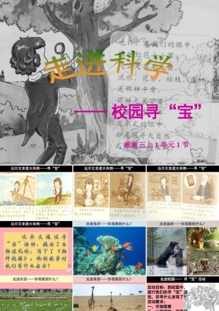 三年级科学上册 1.1 校园寻宝课件3 湘教版-湘教版小学三年级上册自然科学课件