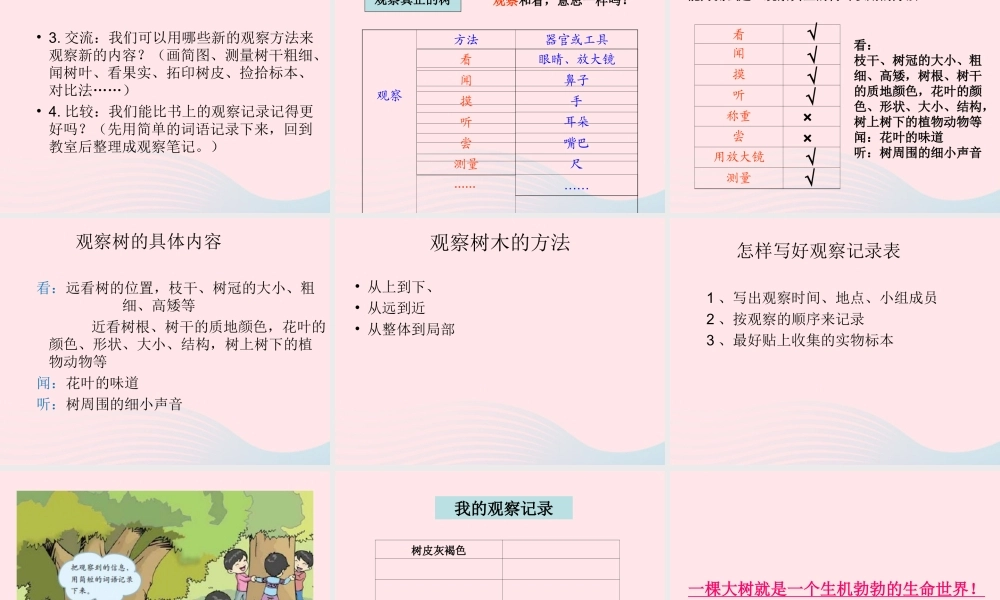 三年级科学上册 1.1《我看到了什么》课件（1） 教科版-教科版小学三年级上册自然科学课件